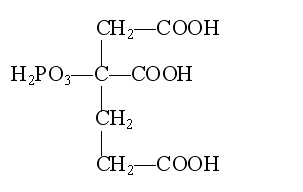PBTCA分子式